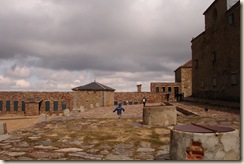 DSC03408
