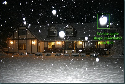 apple shape snowflake