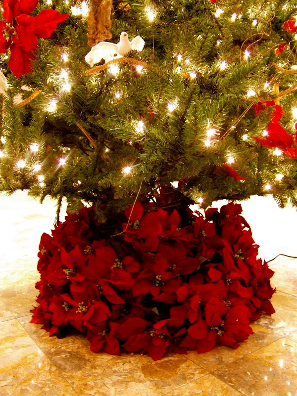 DSCF2949.JPG