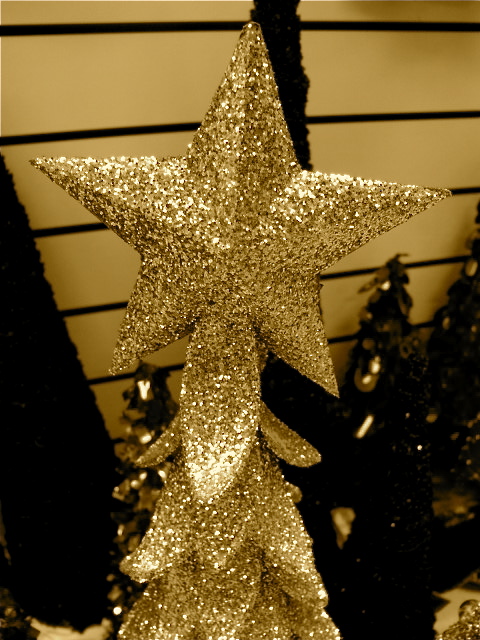 DSCF2197.JPG