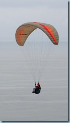 parasailing 6198