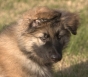 Picture of Zak B.