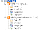 Wordpress Pages & Tags