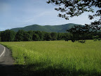IMG_1751.JPG