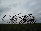 IMG_4327.jpg
