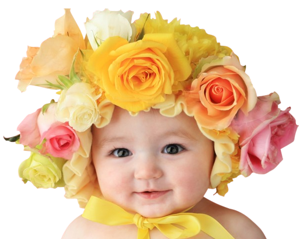 Image117.png