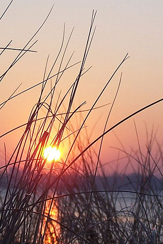 iPhone Wallpapers Baltic sea.jpg IPhoneWallpapers -  http://henku.info
