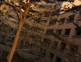 DSC00412