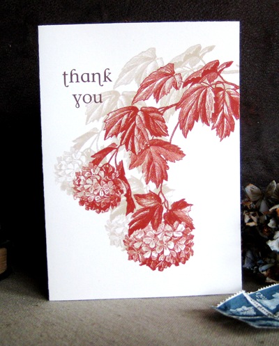 Red Hydrangea Thank you card