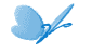 .gif