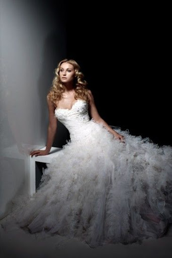 Dreamy Wedding Gowns 2010