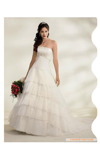 Beautiful Bridal Gowns 2010