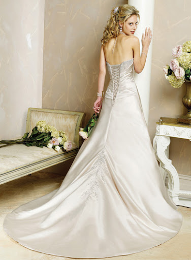Backless Wedding Gown Ideas