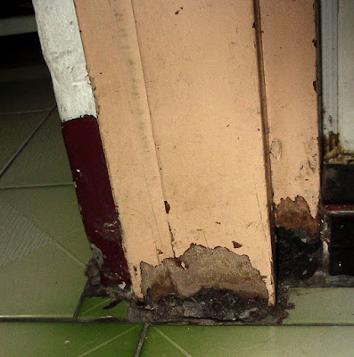 [DOG]超級破壞王－豆豆戰績記實！ - 阿祥的網路筆記本