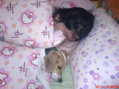 [DOG]豆豆是個小朋友！ - 阿祥的網路筆記本