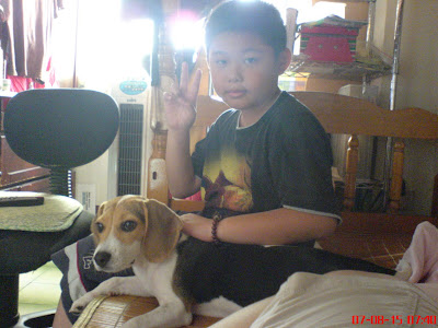 [DOG]大牌狗豆豆生活小記！ - 阿祥的網路筆記本