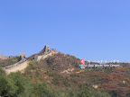 The Wall