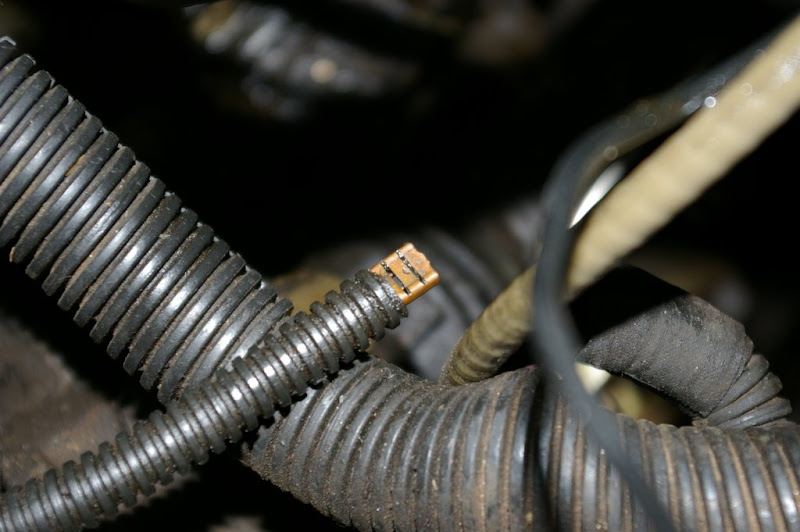 1987 16v round of name that wire, mk2 | VW Vortex - Volkswagen Forum