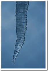 icicle