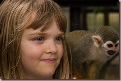 A monkey. And a squirrel monkey.