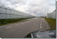 Hoek van Holland Greenhouses 01