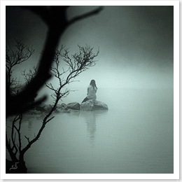 shadow on the lake