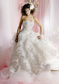 Novias Casajuana, wedding Dress