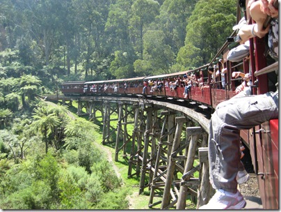 2007-02-03 Puffing Billy, Melbourne 011