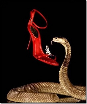 cobra guarded diamond crusted shoes