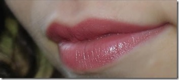 imgem_labios