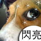 [DOG]豆豆系列超卡哇伊MSN圖！ - 阿祥的網路筆記本