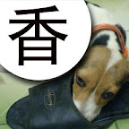 [DOG]豆豆系列超卡哇伊MSN圖！ - 阿祥的網路筆記本