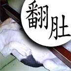 [DOG]豆豆系列超卡哇伊MSN圖！ - 阿祥的網路筆記本