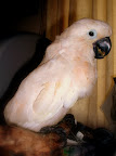 P1010413-1.JPG