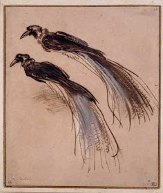 rembrandt, paradijsvogels