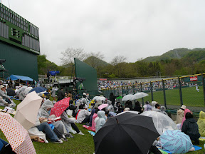 雨の円山球場