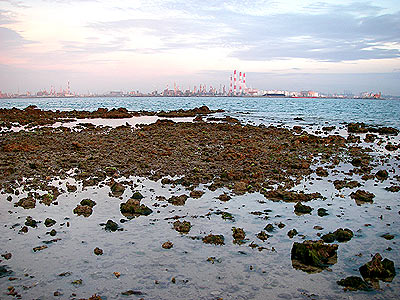 Cyrene Reef