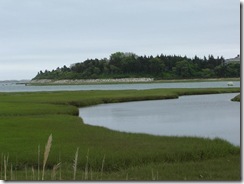 578806818_4a5b48ce36