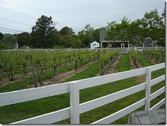 578765835_5cf1e93c13