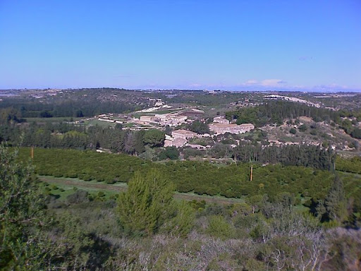 IMAGE_061.jpg