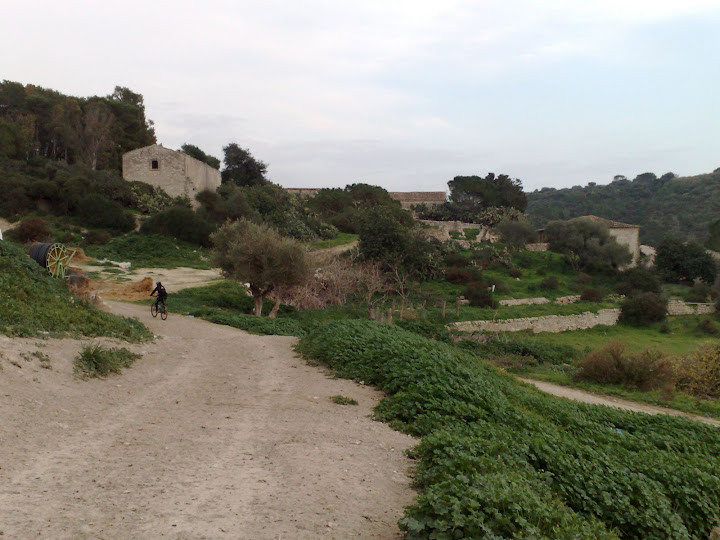 11012008356.jpg