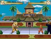 DragonBall Z Game