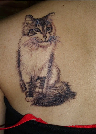 Cat free tattoo design.