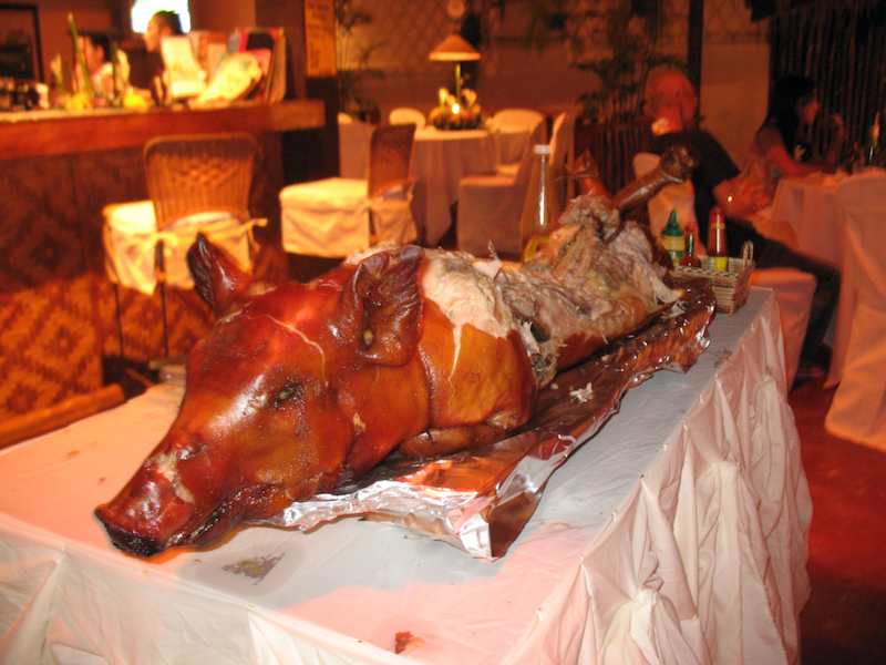 20080322_0228_pig.jpg