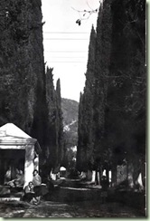 ΣΑΜΙΟΥ