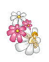 xsgs413.png