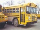 School Buses