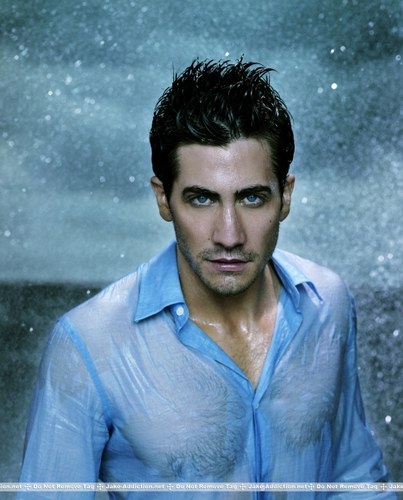Images de Stars 1797_265449166_jake_01_H082924_L.jpg ImagesDeStars -  http://henku.info
