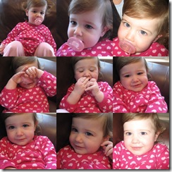collage3