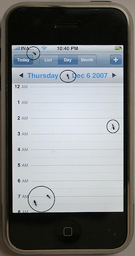 AntsIniPhone2